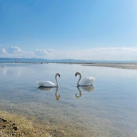 " Sunshine Am See " Фридрихсхафен Экстерьер фото
